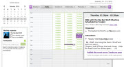 Screen shot of the main Tungle calendar view.  You can hover over a meeting to see its details.